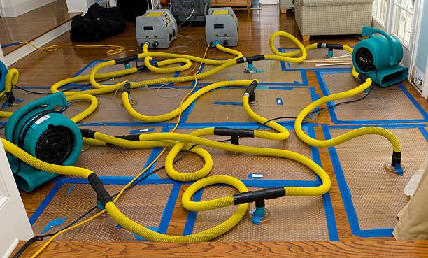 Professional Sewage Cleanup technician working in Harrisburg, NC